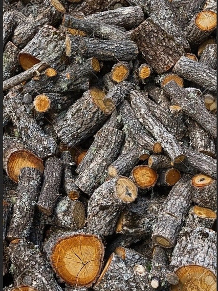 Leña de Roble/Encino 12 kgs